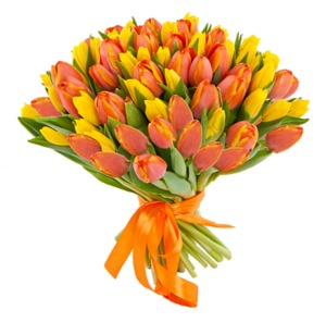 Желтые и оранжевые тюльпаны